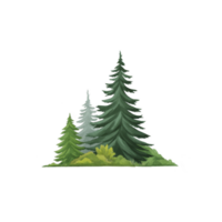 Cluster of evergreen trees, including tall pine and spruce, stands amidst lush green foliage, creating serene and natural forest scene. illustration captures essence of tranquility and nature png