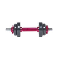 Red and black adjustable dumbbell with metallic handle is isolated on transparency background, showcasing its sleek design and fitness utility png