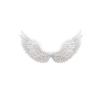 White angel wings with detailed feathers on transparency background, symbolizing purity and freedom. wings are symmetrical and spread wide, creating sense of grace and elegance png