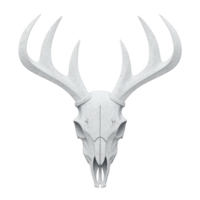White deer skull with large antlers is depicted against plain background, showcasing intricate details and symmetrical design. image conveys sense of nature and wilderness png