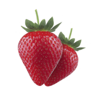 Two ripe strawberries with vibrant red color and green leaves are displayed against transparency background, highlighting their freshness and juicy texture png