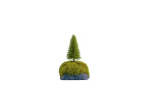 Small, vibrant green tree stands on moss covered rock, creating serene and natural scene. contrast between lush moss and tree adds touch of tranquility and simplicity png