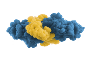 Vibrant blue and yellow ink clouds swirl together in dynamic, abstract formation, creating striking visual contrast. colors blend seamlessly, evoking sense of fluidity and motion png