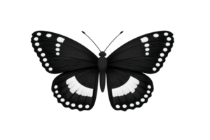 Black and white butterfly with intricate patterns and dotted wings is depicted this image, showcasing symmetrical design. butterfly wings feature bold white spots and delicate lines, creating png