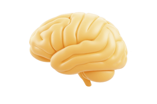 3d Illustration von Mensch Gehirn im glatt, stilisiert Design, präsentieren es ist kompliziert Falten und Kurven. Gehirn ist abgebildet im Sanft Gelb Farbe, betonen es ist Struktur und Komplexität png