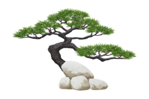 Beautifully shaped bonsai tree with lush green foliage and gracefully twisted trunk is perched atop smooth, natural stones, creating serene and balanced composition png