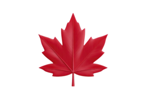 Vibrant red maple leaf with detailed veins, symbolizing nature and autumn. leaf is isolated on transparency background, highlighting its iconic shape and color png