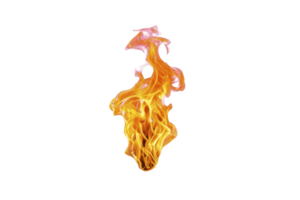Vibrant, dynamic flame with swirling orange and yellow hues dances against transparent background, evoking warmth and energy. fire fluid motion captures sense of movement and intensity png