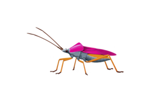 Colorful, stylized illustration of bug with vibrant pink wings, orange legs, and metallic body, showcasing futuristic design. insect antennae are long and detailed png