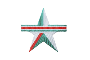 Star shaped ribbon with green, white, and red stripes, symbolizing national pride and unity. design is simple yet striking, often used in celebrations or commemorations png