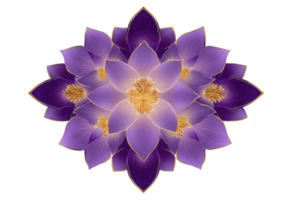 Vibrant mandala design featuring layers of purple and gold lotus petals, creating symmetrical and harmonious pattern. intricate details and rich colors evoke sense of tranquility and balance png