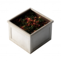 A square planter filled with vibrant, colorful foliage, set against a white isolated background. Ideal for gardening enthusiasts and decor inspiration. png