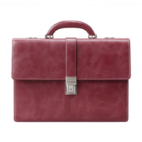 Elegant maroon leather briefcase with a sturdy handle and a secure clasp. Ideal for professionals seeking a stylish and practical accessory for work. png