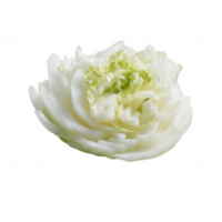 Fresh, crisp lettuce leaf with delicate layers, showcasing its natural freshness and texture. Ideal for salads and healthy dishes, on a white isolate background. png
