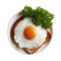 Fried egg with a bright yolk served on toasted bread, garnished with fresh parsley, isolated on a clean background for culinary presentations. png