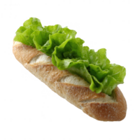 A fresh and crispy sandwich roll topped with vibrant green lettuce, isolated on a white background for a clean and appealing look. png