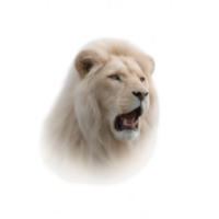 A majestic white lion roaring, showcasing its power and beauty. The lion's striking features and mane create a stunning visual impact against a clean, isolated background. png