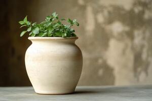 Serene Still Life A potted plant in a rustic ceramic pot, bathed in soft light against a textured background. The image evokes feelings of peace and tranquility. photo