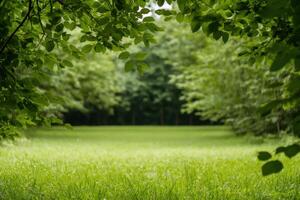 Serene Green Landscape Picturesque View of Lush Grassy Field and Tranquil Forest. Perfect for nature lovers and those seeking peaceful scenery. photo