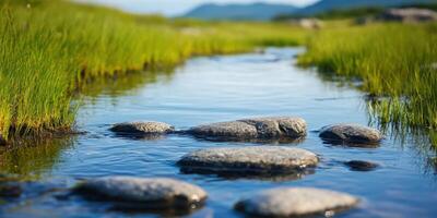 Serene Landscape A Tranquil Stream Flows Gently Over Smooth Stones, Surrounded by Lush Green Grass Under a Bright Summer Sky. The scene evokes a sense of peace and natural beauty. photo