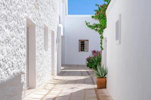 Sunlit Mediterranean Architecture A Serene Whitewashed Alleyway. Discover the charm of sun drenched stone pathways, vibrant flower photo
