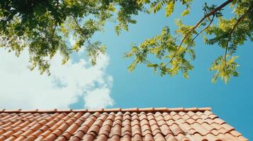 Terracotta Roof Tiles Under a Vibrant Summer Sky photo