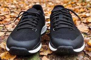 Stylish Black Sneakers on Autumn Leaves Perfect for Outdoor Activities photo