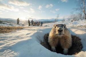 Curious Groundhog Peeking from Burrow in Snowy Landscape photo
