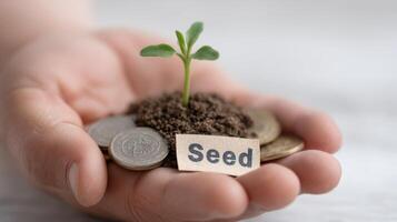 Investment Growth A Tiny Seed, a Big Future photo