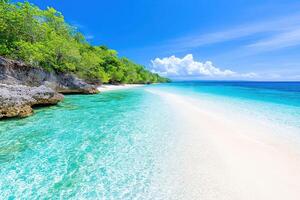 Stunning Tropical Beach Paradise Crystal Clear Waters and Pristine Sand photo