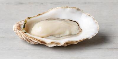 A Pristine Oyster Shell, Exquisitely Captured photo