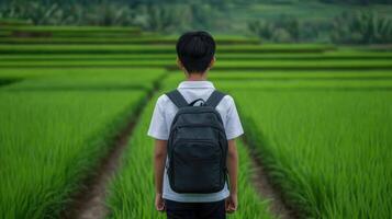 A Young Student Reflects on a Lush Rice Paddy Landscape photo
