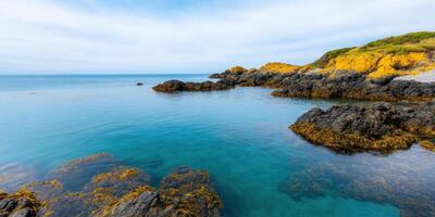 Serene Coastal Landscape with Crystal Clear Water and Vivid Rocks photo