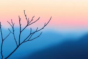 Bare Branches Against a Blending Sky Gradient A Tranquil Nature Scene photo