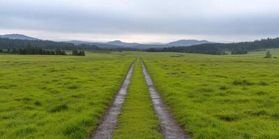 Serene Countryside Path Through Lush Green Field photo