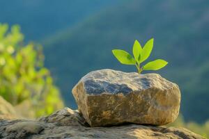 A resilient sprout emerges from a rock, symbolizing nature's tenacity and the beauty of new beginnings amidst a serene mountain la photo