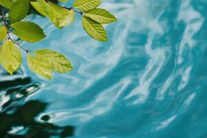 Serene Nature Scene Vibrant Green Leaves Reflecting on Calm Blue Water. A captivating image evoking tranquility and peace, perfect photo