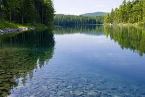 Crystal Clear Lake in the Forest A Serene Landscape of Nature's Beauty. Picturesque summer day view of a calm lake with crystal cl photo
