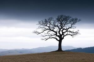 Solitary Tree on a Hilltop A Dramatic Landscape Photography. The silhouette of a lone tree against a moody sky and distant mountai photo