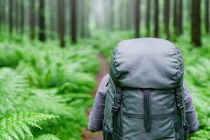 A Gray Backpack on a Hiking Trail Through a Lush Green Forest An Inviting Journey into Nature's Embrace. Explore the Serene Beauty photo