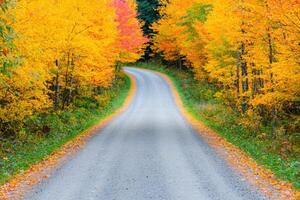 Picturesque Autumn Country Road A Journey Through Vibrant Fall Foliage. Scenic Drive Through Colorful Trees, Serene Nature, and Go photo