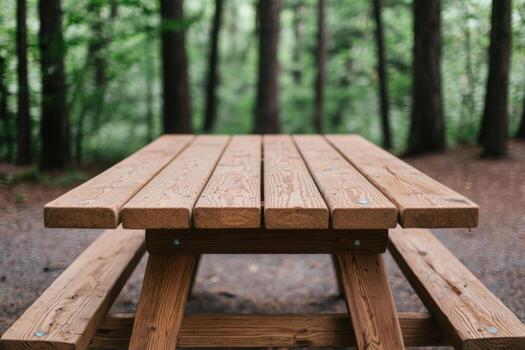 Rustic Wooden Picnic Table in a Serene Forest Setting. Perfect for outdoor relaxation and enjoying nature's tranquility. A picture photo