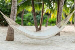 Serene Hammock on Tropical Beach Relaxation, Vacation, and Summer Getaway photo