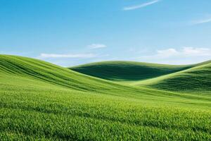 Serene Rolling Hills A Captivating Landscape of Lush Green Fields Under a Bright Blue Sky. Discover the beauty of nature in this b photo