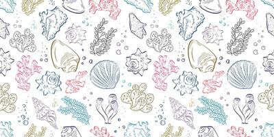 Seamless pattern with shells, corals, algae. Sketch, colored outline on a white background. Ideal for covers, backgrounds, packaging, textiles. vector