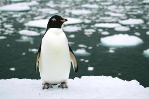 Majestic Emperor Penguin on Antarctic Ice A Stunning Wildlife Scene. Discover the beauty of this Antarctic bird in its natural hab photo