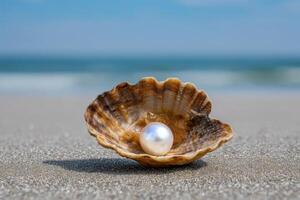 Ocean Pearl in Seashell on Sandy Beach Coastal Summer Serenity, Natural Treasure, Jewel of the Sea photo