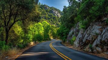 Forest road photo captured with realistic scenic lighting