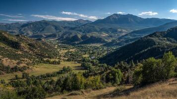High detail summer field photography-with vivid colors photo