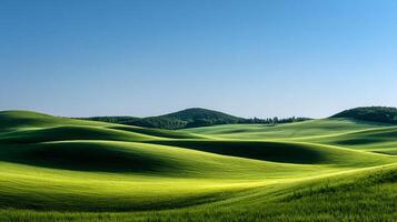 Photorealistic summer meadow photography with sharp green textures photo